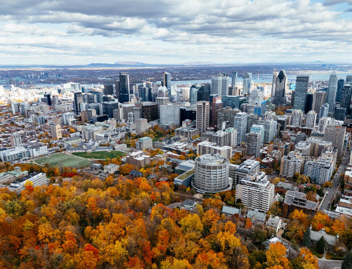 Urban landscape with fall foliage